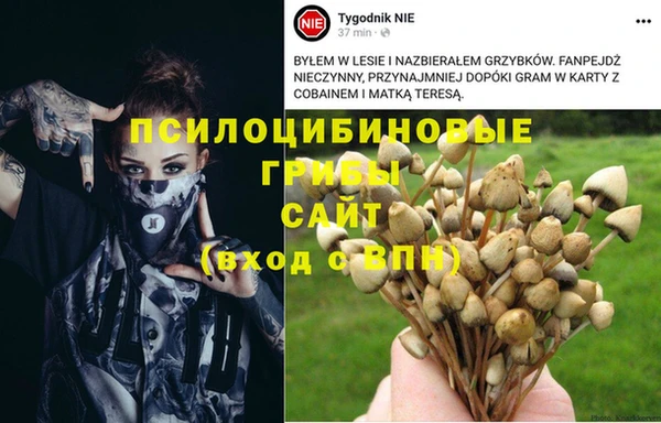 скорость Алзамай