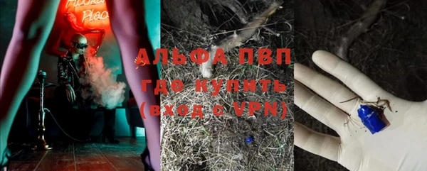 индика Абдулино