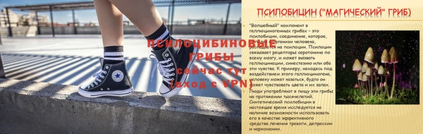 прущие крисы Алексин