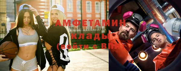 сатива Новодвинск