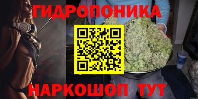 индика Ярцево
