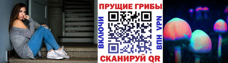 Галлюциногенные грибы GOLDEN TEACHER  KRAKEN сайт  Шумерля  наркотики 
