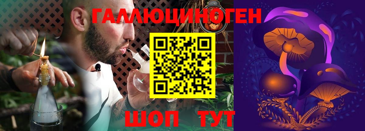 Галлюциногенные грибы мухоморы Шумерля